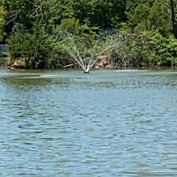 Meet your Posher, Cami - Picture 2 of 2